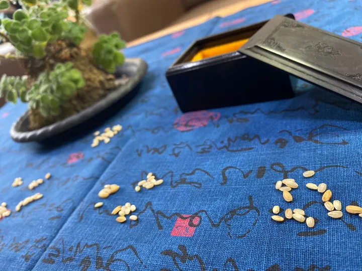 易經占卜